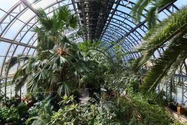 Yeşillik geniş bir kapalı botanik bahçesini dolduruyor.