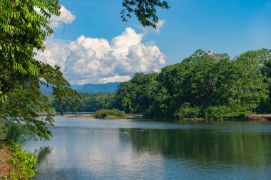 Peru Amazon 'unu geçen sakin bir nehir.