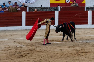 Boğa güreşçisi boğa ile San Pedro boğa ringinde