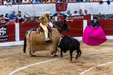 Picador, San Pedro Bulvarı 'nda boğayla.