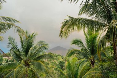 Wang Sai Şelalesi yakınlarındaki Dağ ve Palm View, Koh Phangan, Tayland