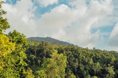 Mavi Gök Altında Tropik Dağ Ormanı, Sudet Ko Phangan
