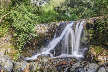 Puente del Perdn, Madrid, İspanya 'da Sakin Şelale.