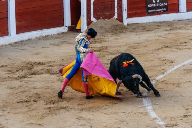Matador ringde boğayla Veronica 'yı oynuyor.