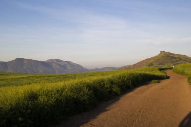 Yeşil tarlalar boyunca, dağlar kadar uzak toprak patikalar.