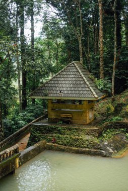 Orman Havuzu, Kathu Şelalesi, Phuket, Tayland