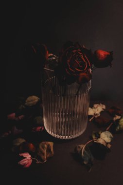 Cam vazo kılıfında solmuş kırmızı güller