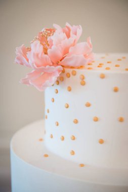 Pembe Şeker Çiçeği ve Altın Nokta Aksanlı Minimalist Kek