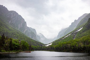 Batı Brook Pond Puslu Vadisi