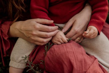 Bebeğin dala sarılıp ebeveynin kollarında oturması