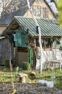 Dağınık Kırsal Bahçe Huş Ağacı ve Dacha Arkaplan Kulübesi