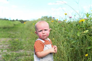 Ciddi çocuk uzun kır çiçekleri ve gras yanında duruyor.