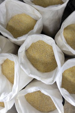 Yukardan, damıtılmak için ezilmiş mısır çuvallarına bakıyorum.