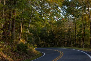 Sonbahar yeşilliklerinde kıvrımlı yol