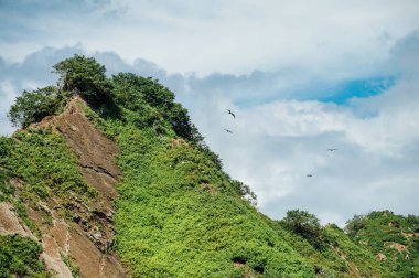 Balina Kayalıkları, Marino Ballena Ulusal Parkı, Uvita, Kosta Rika.