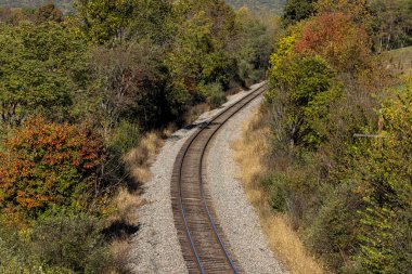 Sonbahar yaprakları arasında giden boş tren yolu