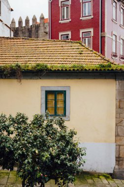 Renkli Yüzler ve Bahçe Detayları Tarihi Ribeira, Porto