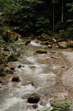 Haldertobel Boğazı 'ndaki Dağ Akıntısı, Kötü Hindelang, Allgau