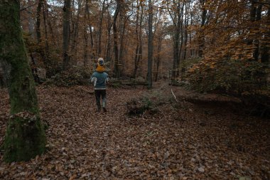Sisli sonbahar ormanı. Mantarlar için doğa yürüyüşü.