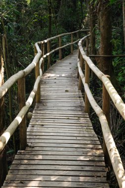 Yeşil yağmur ormanlarındaki şelaleye giden ahşap yürüyüş yolu.