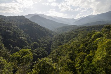 Itatiaia 'daki yeşil Atlantik yağmur ormanları nehir vadisine güzel bir manzara