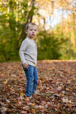 Sonbaharda düşen yaprakların arasında duran genç bir çocuğun portresi.