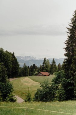 Ahşap Ahır ve Alp manzaralı Dağ Çayırı, Allgau