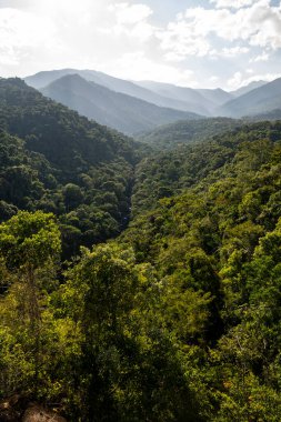 Itatiaia 'daki yeşil Atlantik yağmur ormanları nehir vadisine güzel bir manzara