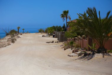 gringo plajı Baja California Meksika