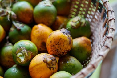 Olgun ve olgunlaşmamış Betel fındığı ya da sepette Areca fındığı.