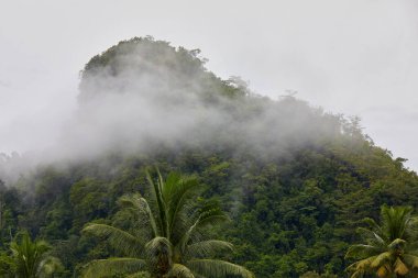 Yağmur mevsiminde sabah sisinin dağdan manzarası