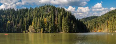Romanya 'daki Kızıl Göl Lacul Rou Panoramik Manzarası Doğu Karpatlar.