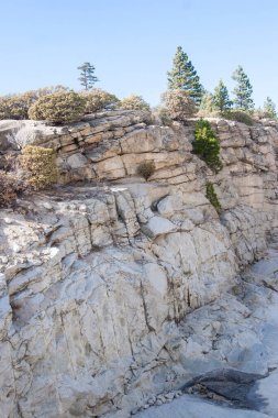 Açık mavi gökyüzünün altında çam ağaçları olan kayalık bir uçurum.