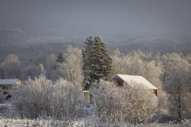 Kuzey Norveç 'te tipik ahşap iskele binası..