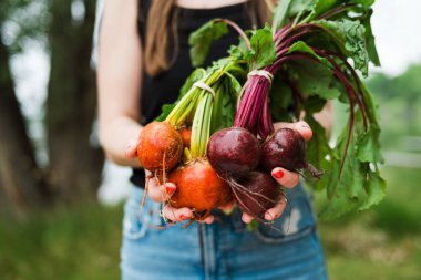 Kapıda elinde taze kırmızı ve altın pancar tutan bir kadın var.