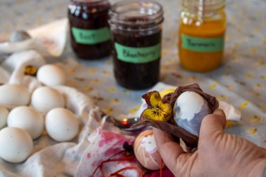 Boyanmış Yumurtaya Çiçek Direnci Açmak için İbne Çiçeği 'ni kaldırmak