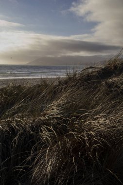 Kum tepecikleri rüzgarda, Pasifik Okyanusunda ve dağlarda esiyor..