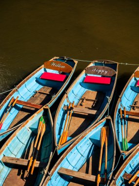 Kürek Tekneleri, River Cherwell, Oxford, Oxfordshire, İngiltere.