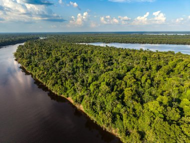 Yeşil Amazon yağmur ormanları adalarına güzel bir hava manzarası