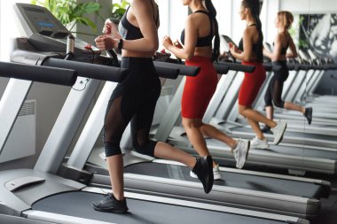 Koşu bandında koşan formda genç kadınlar.