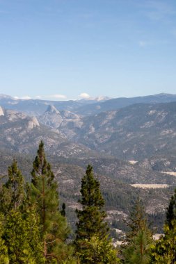Berrak mavi gökyüzünün altında çam ağaçları olan dağ vadisi manzarası
