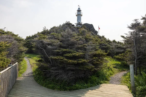 Bir Tepenin Üzerinde Istakoz Koyu Deniz Feneri