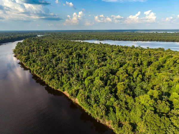 Yeşil Amazon yağmur ormanları adalarına güzel bir hava manzarası