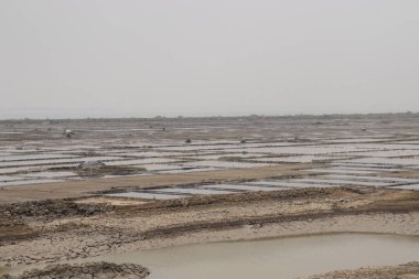 Su ve politen yataklı çiğ tuz tarlası.