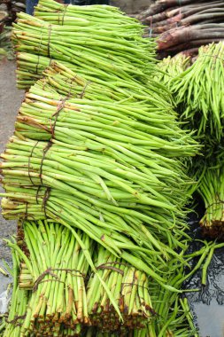 Satmak için arum lob stoku