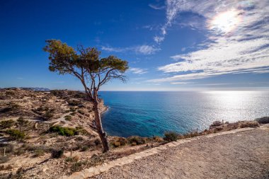 Akdeniz Parıltısı ve Kıyı Yalnızlığı