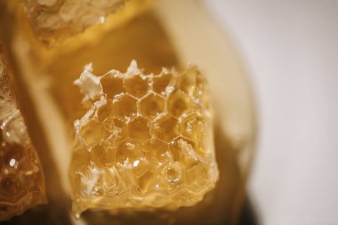 Tatlı doğal organik bal damlayan altın bal petekleri
