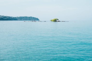 Jai Dee adası, Klong Chao Sahili açıklarında sakin bir turkuaz deniz. Koh Kood.