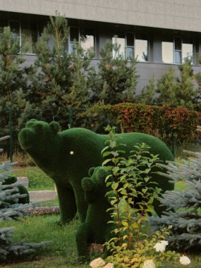 Anne Ayı ve Küçük Ayı