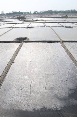 Su ve politen yataklı çiğ tuz tarlası.